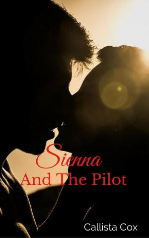 Cover of the book Sienna And The Pilot by Sarah D. O'Bryan