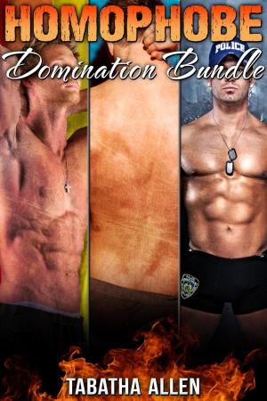 Cover of the book Homophobe Domination Bundle by Tabatha Allen