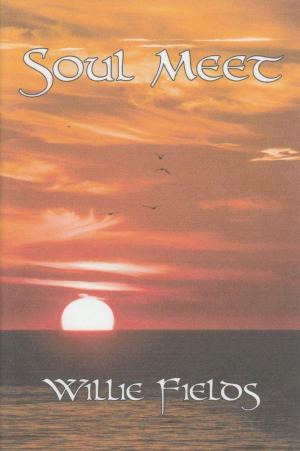 Book cover of Soul Meet