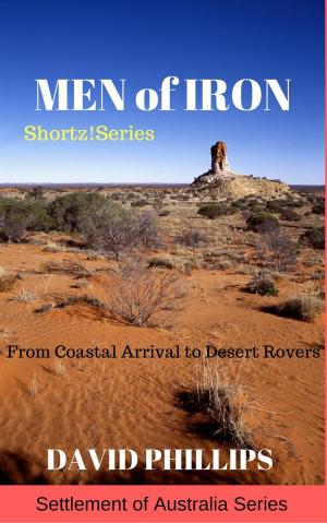 Cover of the book Men of Iron by M.E. Sutton
