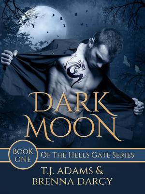 Cover of the book Dark Moon by Julian Saheed