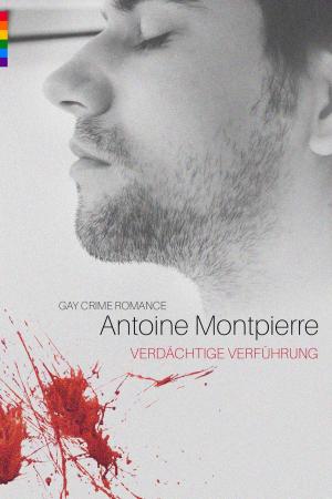 Cover of Verdächtige Verführung (Gay Crime Romance)