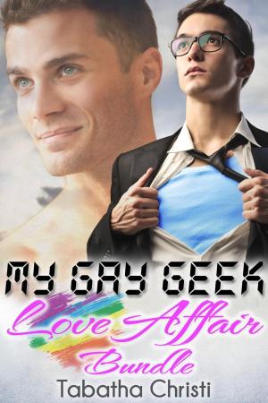 Cover of the book My Gay Geek Love Affair Bundle by Lucilla Rainer, Traduzione: Paula Cama