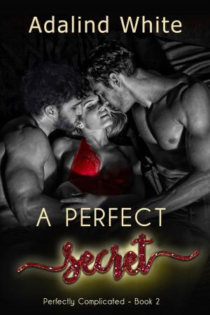 Cover of the book A Perfect Secret by Crimson Haven
