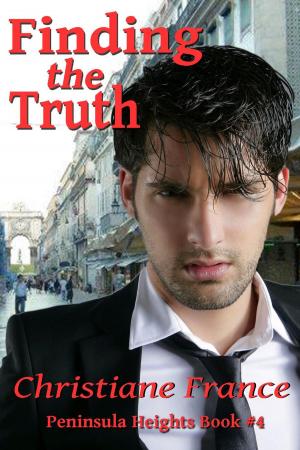 Cover of the book Finding The Truth by Adam Stevens