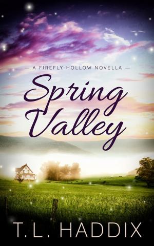 Cover of the book Spring Valley by Priscilla Melinda Visser