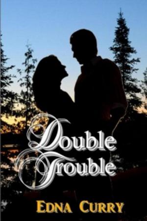 Cover of the book Double Trouble by Edna Curry