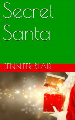 Cover of the book Secret Santa by Joseph Mills, Danielle Tarmey