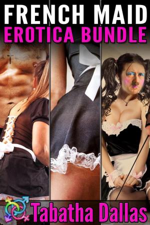 Cover of French Maid Erotica Bundle