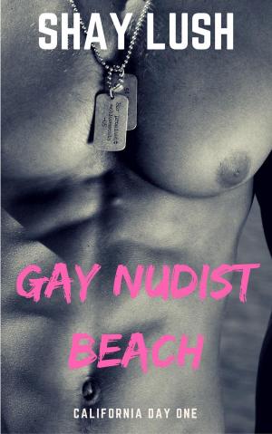 Cover of the book Gay Nudist Beach by Debra Holt