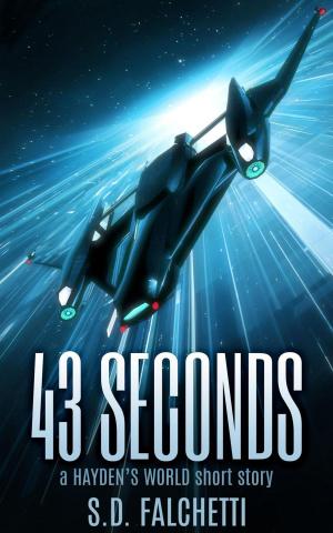 Cover of the book 43 Seconds: A Hayden's World Short Story by Angel Berry