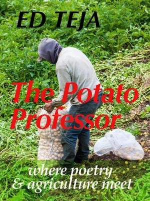 Cover of the book The Potato Professor by J. Reid Beckett