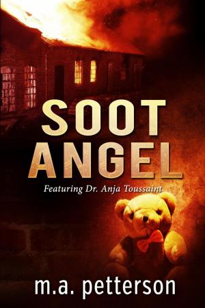 bigCover of the book SOOT ANGEL by 