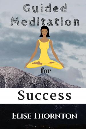 Book cover of Guided Meditation for Success