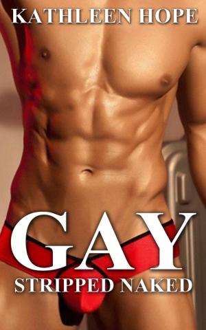 Book cover of Gay: Stripped Naked