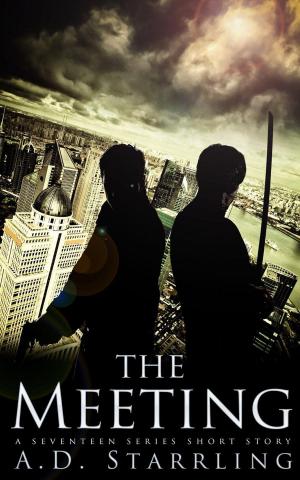 bigCover of the book The Meeting (A Seventeen Series Short Story #3) by 