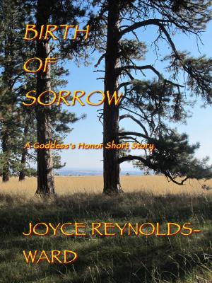Book cover of Birth of Sorrow