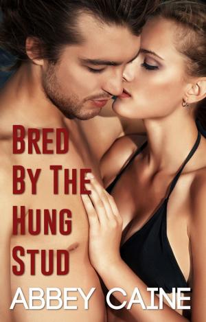 Cover of the book Bred By The Hung Stud by D.G. Holmes