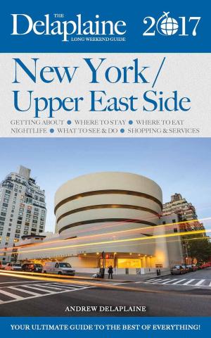 Cover of the book New York / Upper East Side - The Delaplaine 2017 Long Weekend Guide by Anne Vipond