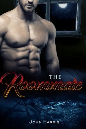 Book cover of The Roommate