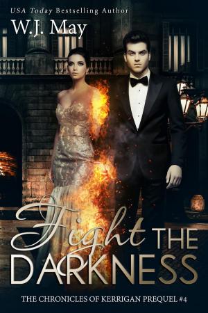 Book cover of Fight the Darkness