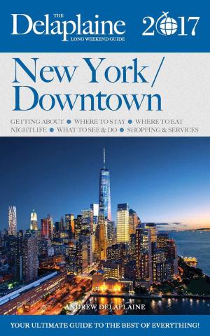 Book cover of New York / Downtown - The Delaplaine 2017 Long Weekend Guide