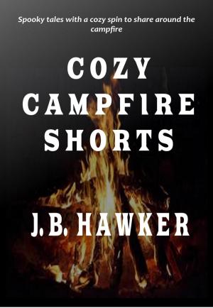 Cover of the book Cozy Campfire Shorts by John Flannery