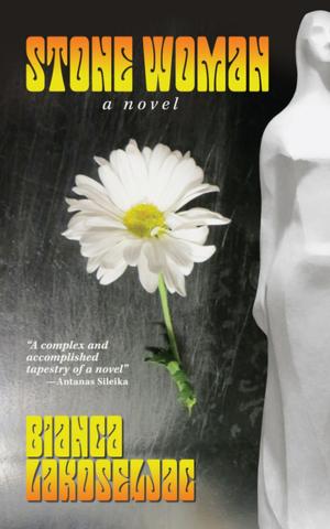 Cover of the book Stone Woman by Helene Rioux