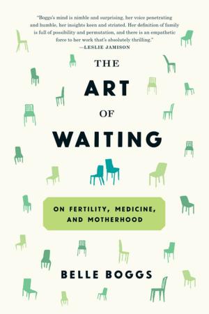 Cover of the book The Art of Waiting by Jessica Francis Kane