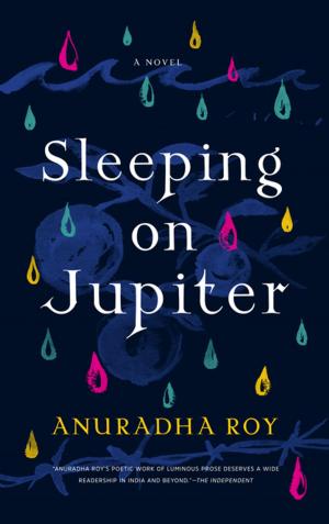 bigCover of the book Sleeping on Jupiter by 