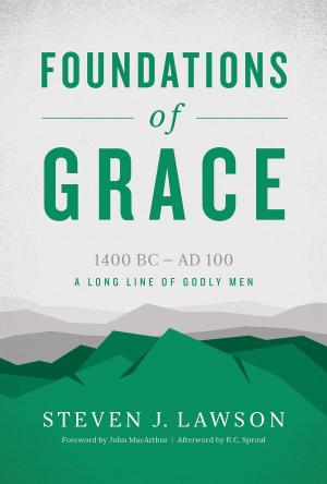 Cover of the book Foundations of Grace by Derek W.H. Thomas