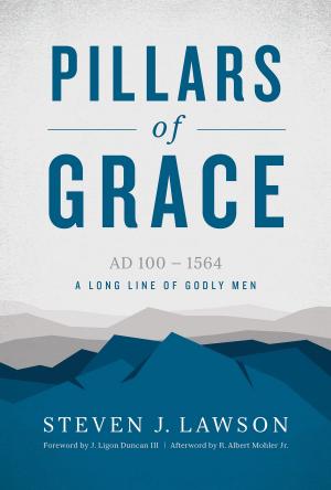 Cover of the book Pillars of Grace by R.C. Sproul
