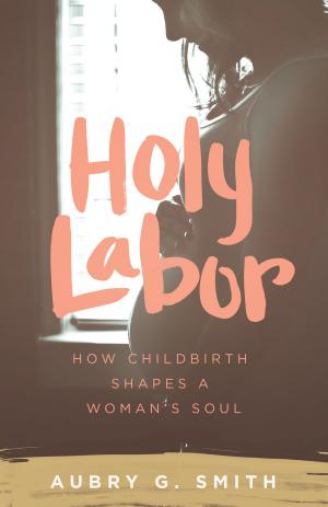 Cover of the book Holy Labor by Ronn Johnson