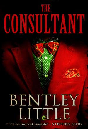 Book cover of The Consultant