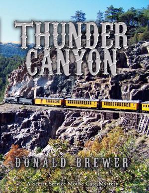 Cover of the book Thunder Canyon by Bob Doerr