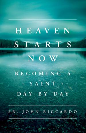 Cover of the book Heaven Starts Now by John Boucher