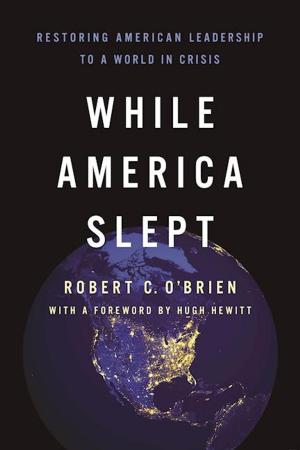 Cover of the book While America Slept by Abby W. Schachter