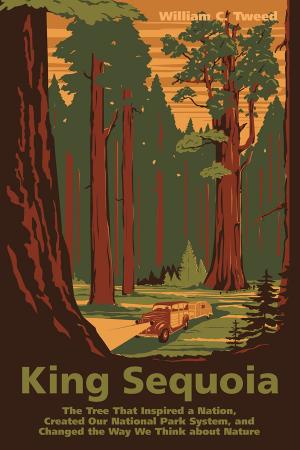 Cover of the book King Sequoia by Gary Noy