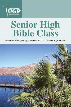 Cover of the book Senior High Bible Class by David Rowland