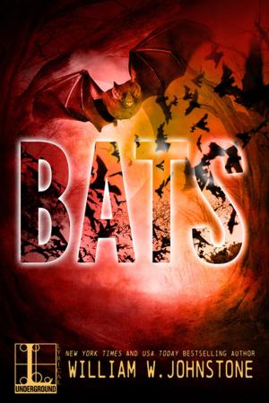 Cover of the book Bats by Heather McGovern