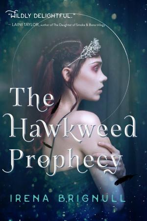 Cover of the book The Hawkweed Prophecy by Elizabeth Becka