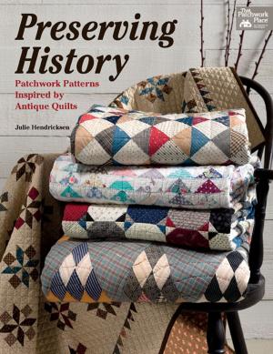 Cover of the book Preserving History by Megan Kreiner