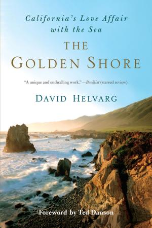 Cover of the book The Golden Shore by Katherine Martin