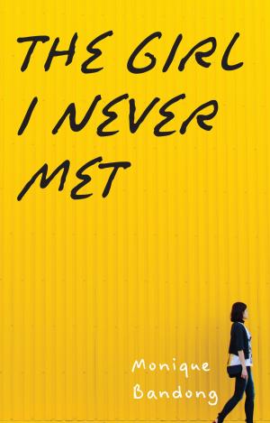 Cover of the book The Girl I Never Met by Jonathan Marigliano
