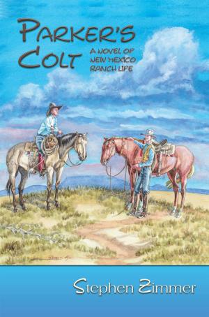 Cover of the book Parker's Colt by John A. Aragon