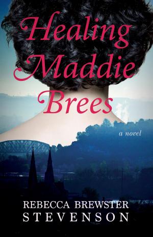 Cover of the book Healing Maddie Brees by Susan Örnbratt