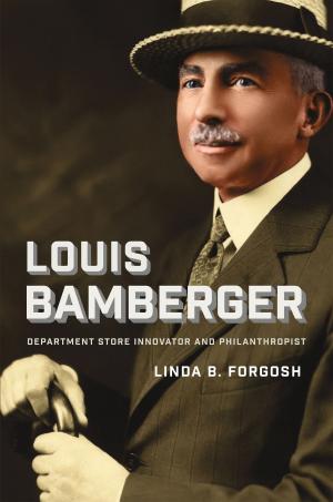 Cover of the book Louis Bamberger by Mark Goldfeder