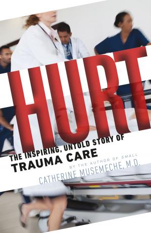 Cover of the book Hurt by Melissa M. Adams-Campbell