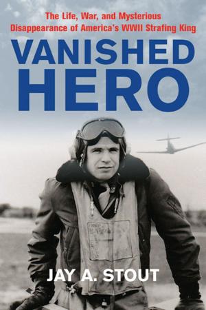 Book cover of Vanished Hero