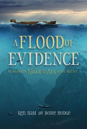 Cover of the book Flood of Evidence, A by Kristin Berry